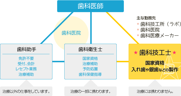 歯科技工士とは | 北海道歯科技術専門学校